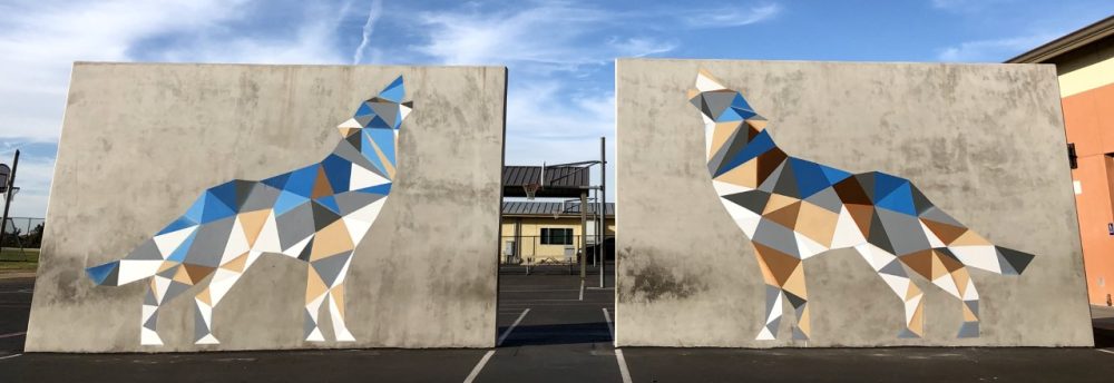 Wolf Canyon 1st Grade Timberwolves